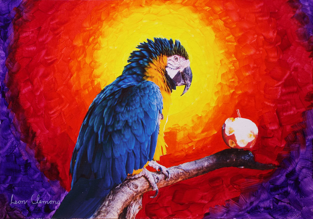 Leon's unique artwork - Blue and yellow macaw 