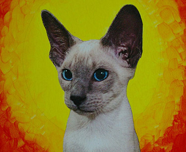 Leon Clemons unique artwork - Alert Kitten named Lion 