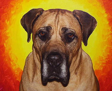 Leon Clemons unique artwork - Boerboel named Dog Clemons