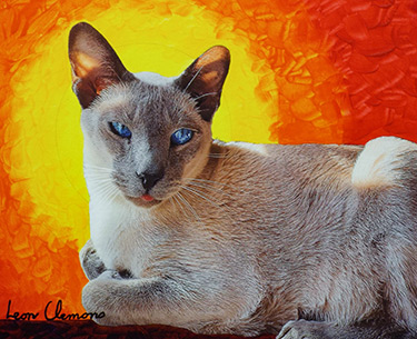 Leon Clemons unique artwork - Lazy Siamese cat called Lion