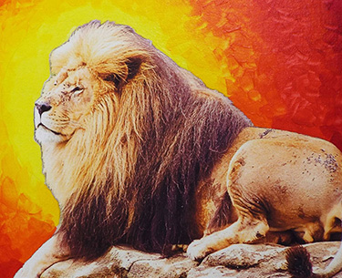 Leon Clemons unique artwork - African lion looking over the planes