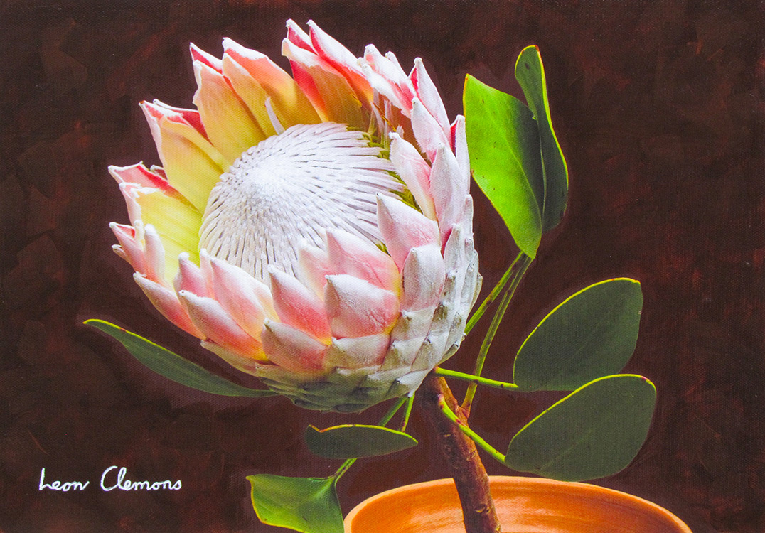 Leon's super realistic artwork - Beauty Queen