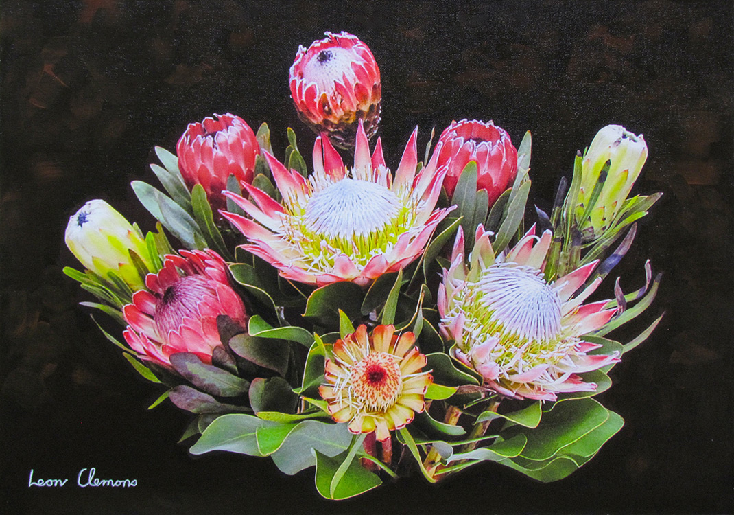 Leon's super realistic artwork - Dawn's Protea Magnificence