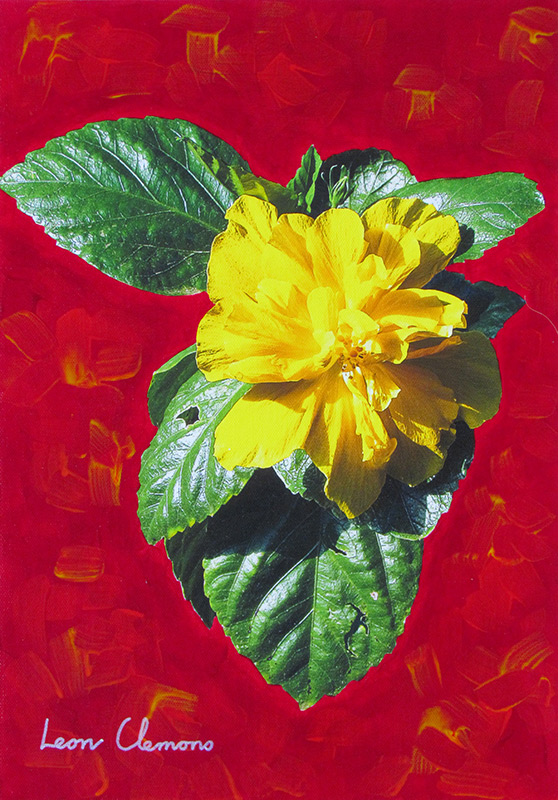 Leon's super realistic artwork - Glorious Hibiscus