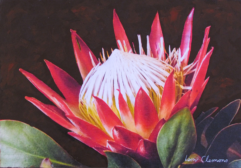 How to Live Healthy and Save Plenty