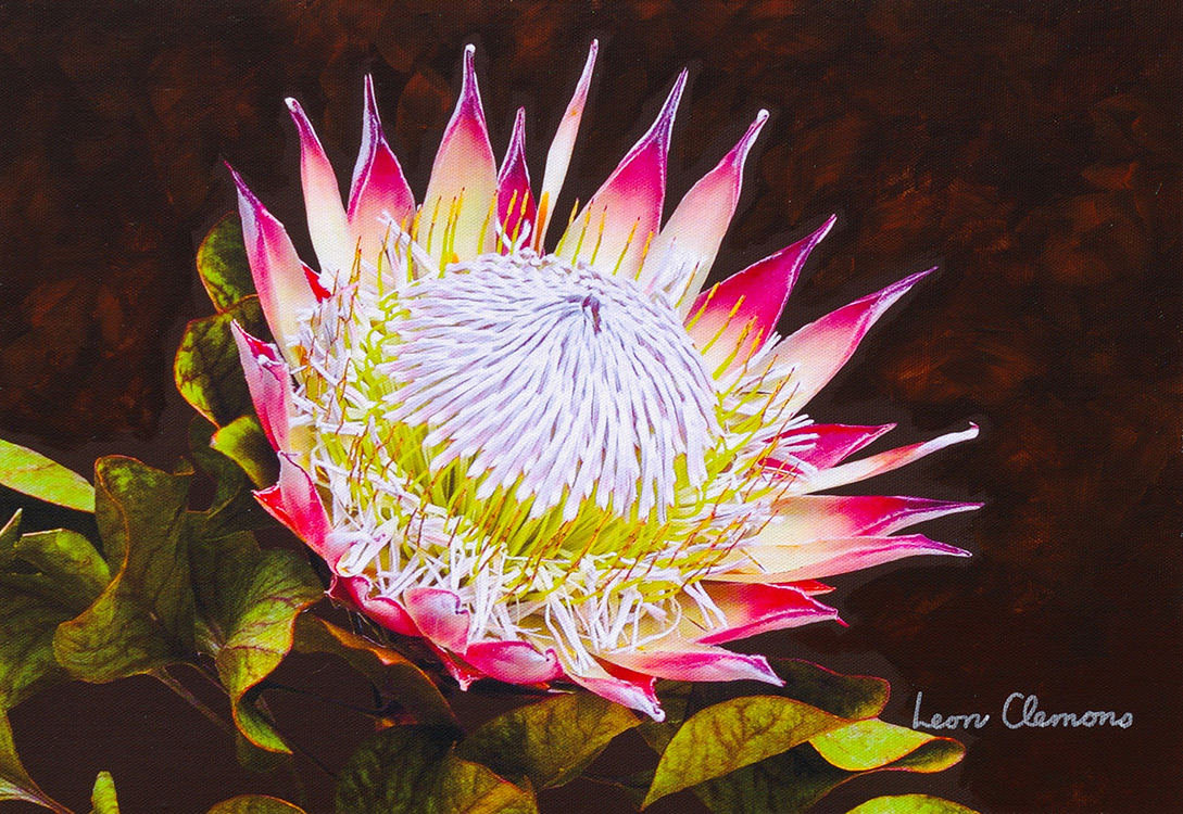 Leon's super realistic artwork - King Protea 3