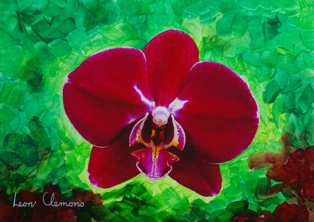 Leon's super realistic artwork - Orchid 6