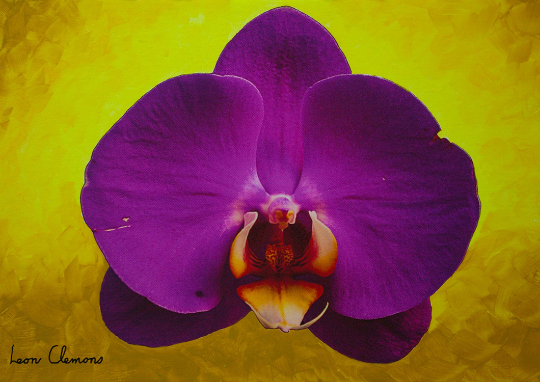 Leon's super realistic artwork - Orchid 8