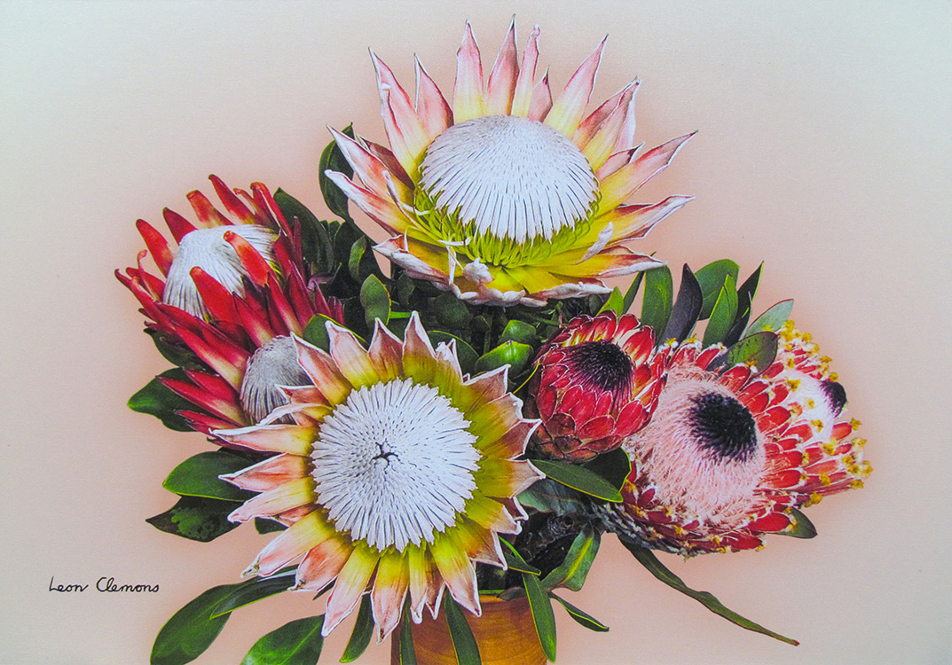 Leon's super realistic artwork - Pastel Protea Poise