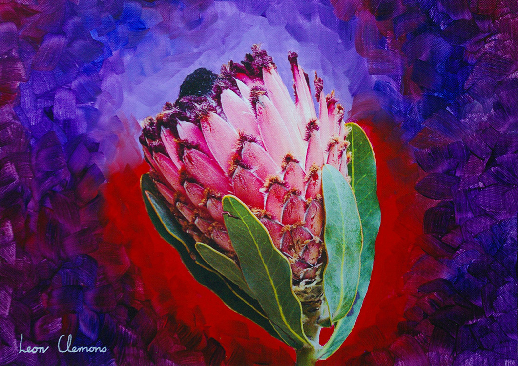 Leon's super realistic artwork - Protea 2