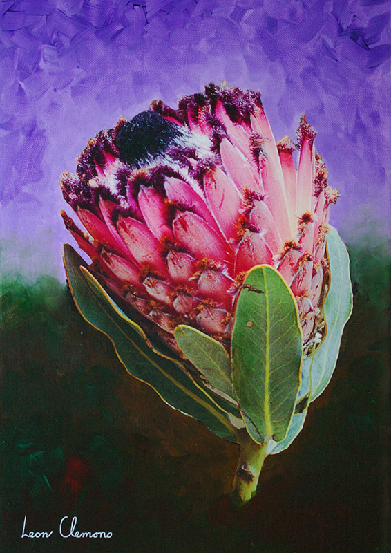 Leon's super realistic artwork - Protea 3