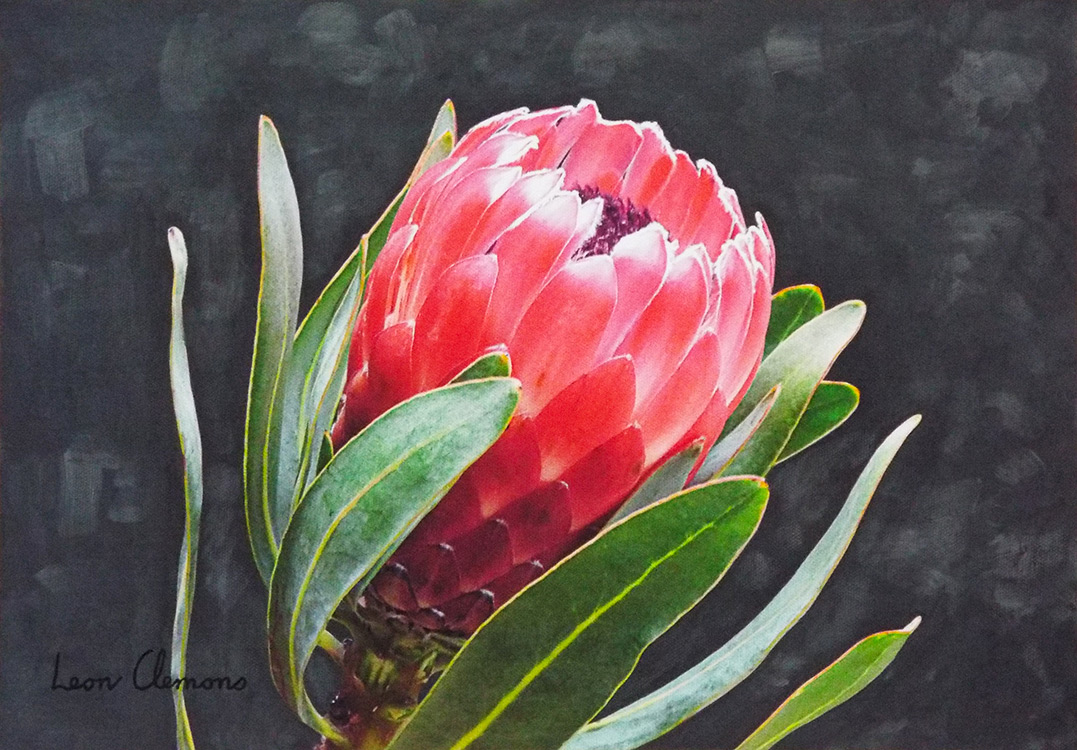 Leon's super realistic artwork - Protea 5