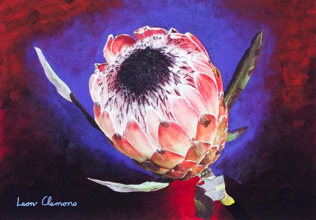 Leon's super realistic artwork - Protea 6