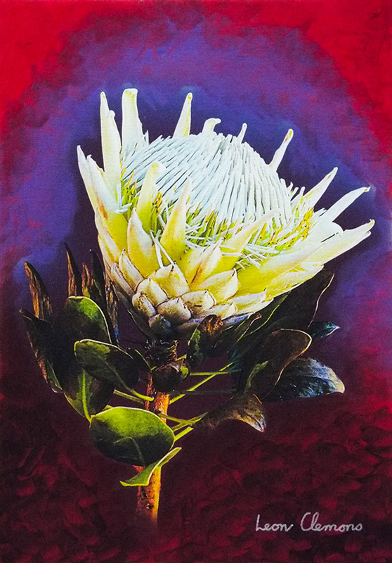 Leon's super realistic artwork - Ivory Protea