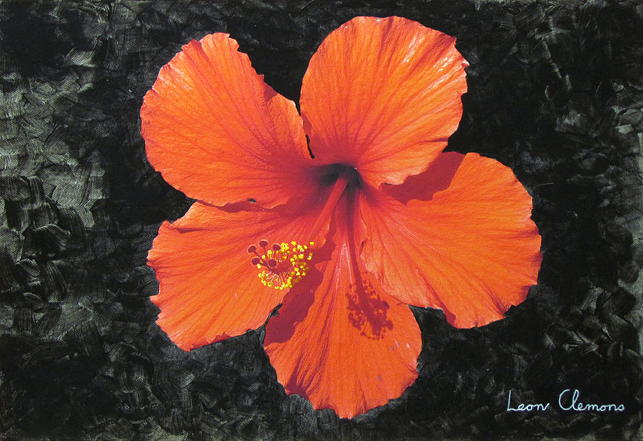 Leon's super realistic artwork - Red Beauty