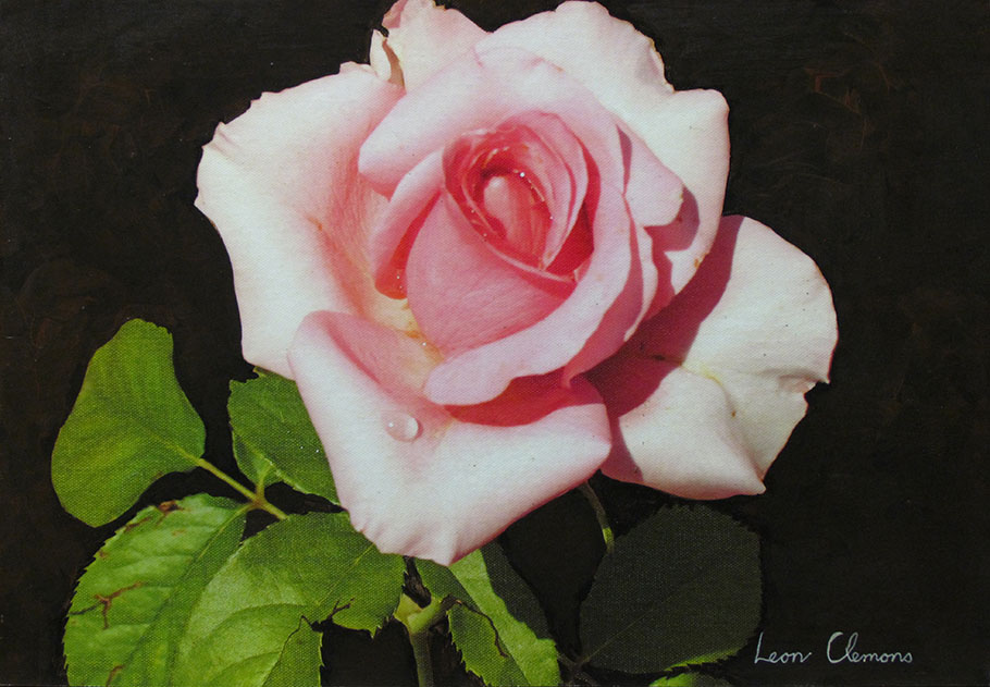 Leon's super realistic artwork - Burgundy Arum Lily