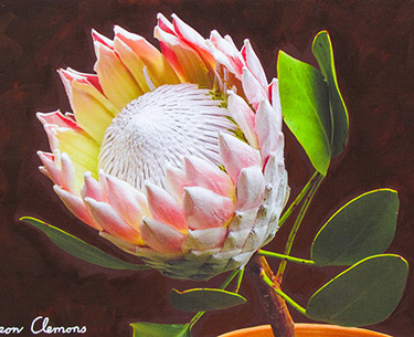 Leon Clemons super-realistic artwork - Beauty Queen