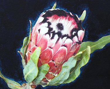 Leon Clemons super-realistic art - Breathtaking Protea