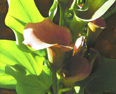 Leon Clemons super-realistic art - Burgundy Arum Lily