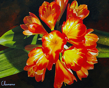 Leon Clemons super-realistic art - Clivea Miniata 4