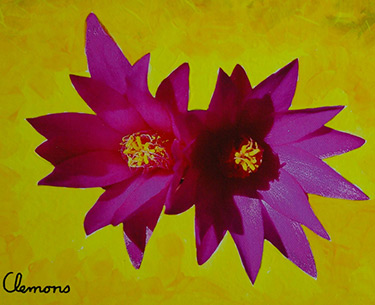 Leon Clemons super-realistic art - Epiphyllum Cactus 1