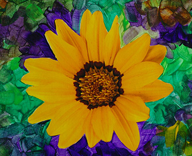 Leon Clemons super-realistic art - Gazania 1