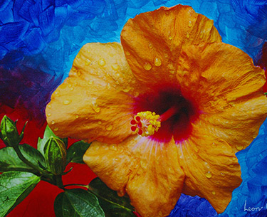 Leon Clemons super-realistic art - Hibiscus 7