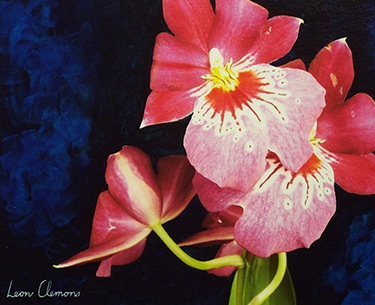 Leon Clemons super-realistic art - Orchid 1