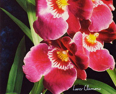 Leon Clemons super-realistic art - Orchid 2