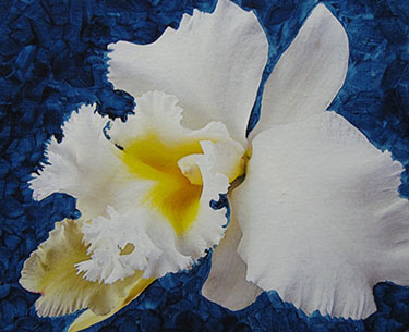 Leon Clemons super-realistic art - Orchid Ballerina