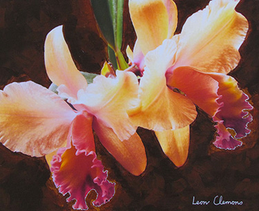 Leon Clemons super-realistic artwork - Orchid Elegance