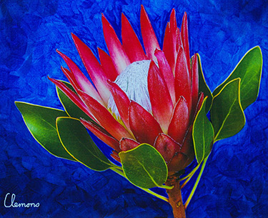 Leon Clemons super-realistic art - Protea Compacta 1