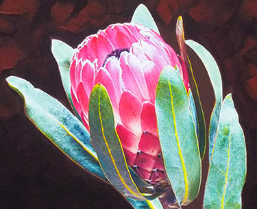 Leon Clemons super-realistic artwork - Lovely Protea