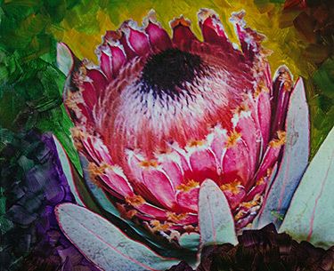Leon Clemons super-realistic art - Protea Magnifica 2