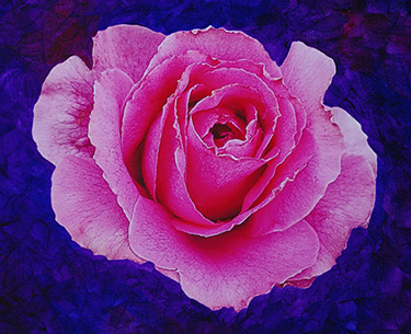 Leon Clemons super-realistic art - Rose 10