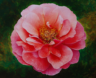 Leon Clemons super-realistic art - Rose 8
