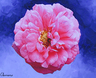 Leon Clemons super-realistic artwork - Serene Rose