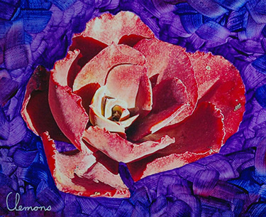 Leon Clemons super-realistic art - Succulent 1