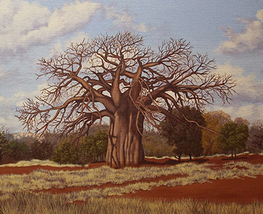 Leon Clemons realistic art - Baobab near Musina