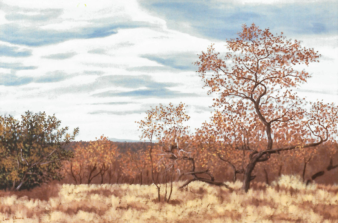 Leon's realistic painting - Mopani Landscape