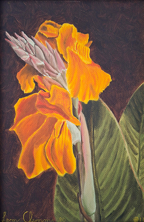 Leon's realistic painting - Orange Kanna