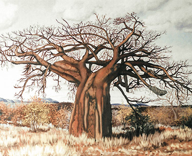 Leon Clemons realistic art - Baobab 