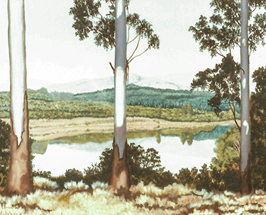 Leon Clemons realistic art - Baobab near Musina